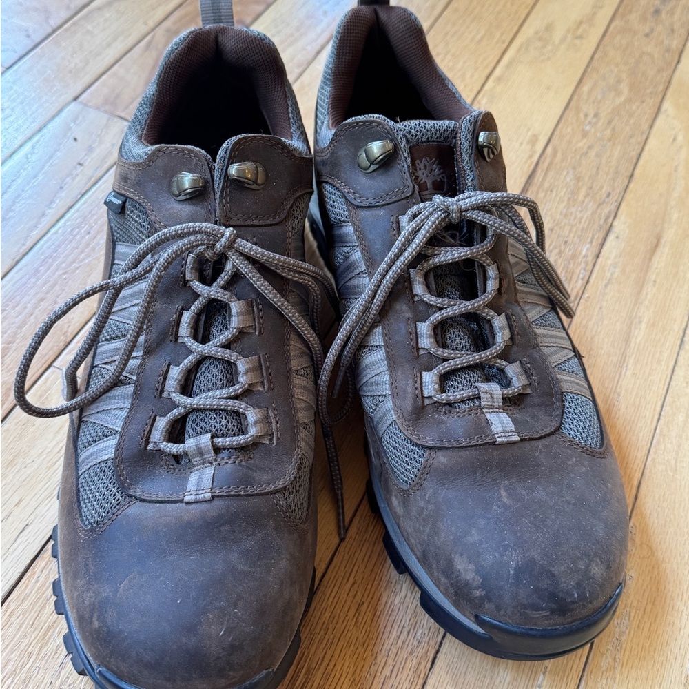 Timberland Men's Brown Hiking Shoes